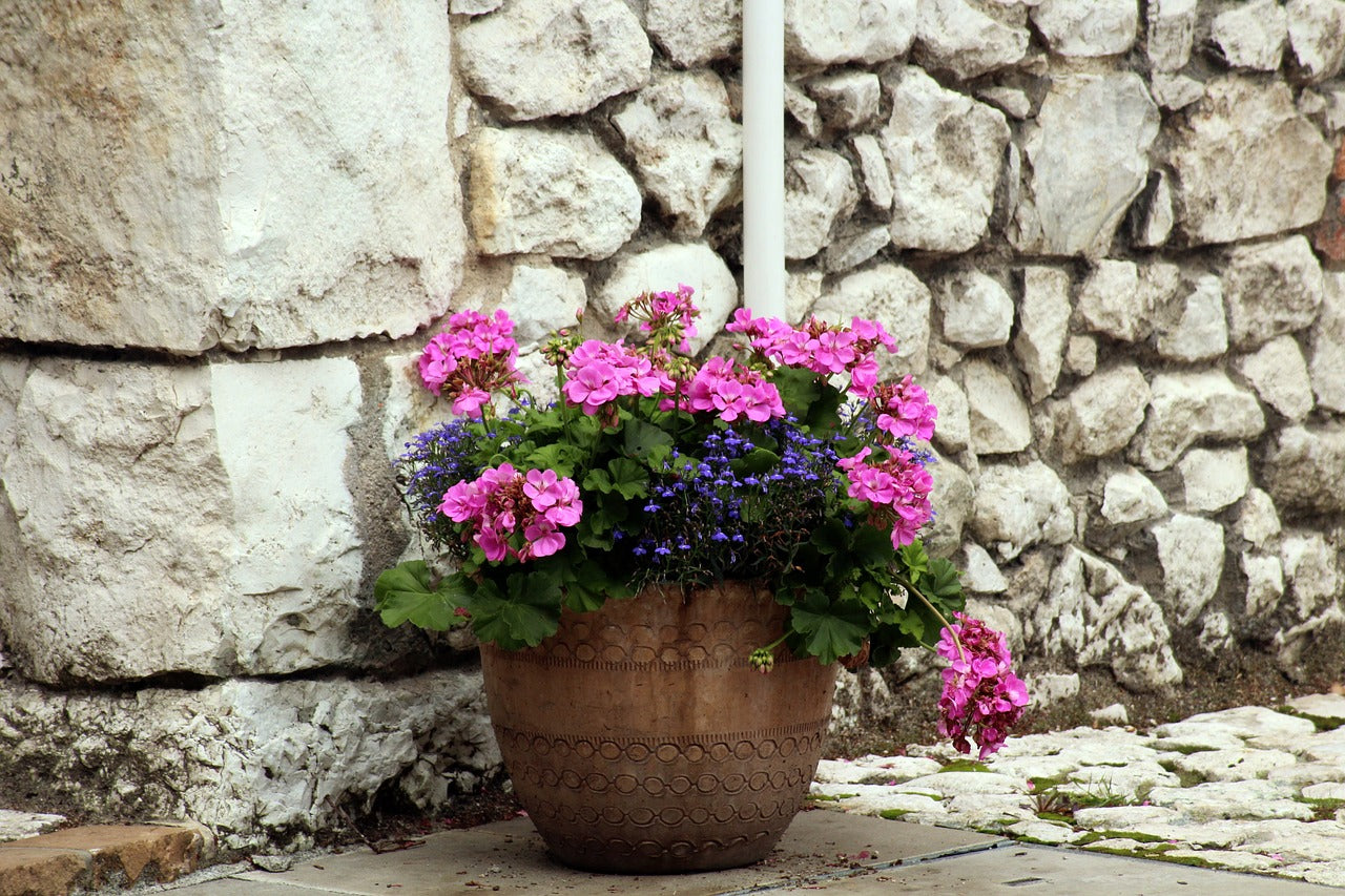 Garden Pots & Planters