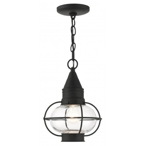 1 Light Black Outdoor Pendant Lantern Livex