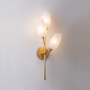 Aldean Wall Sconce Troy Lighting