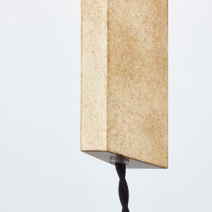 Brisbane Plug-In Sconce Troy Lighting