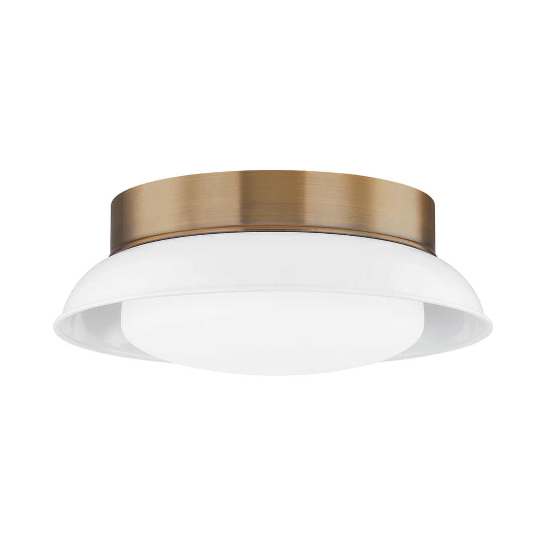 Arnie Flush Mount Troy Lighting