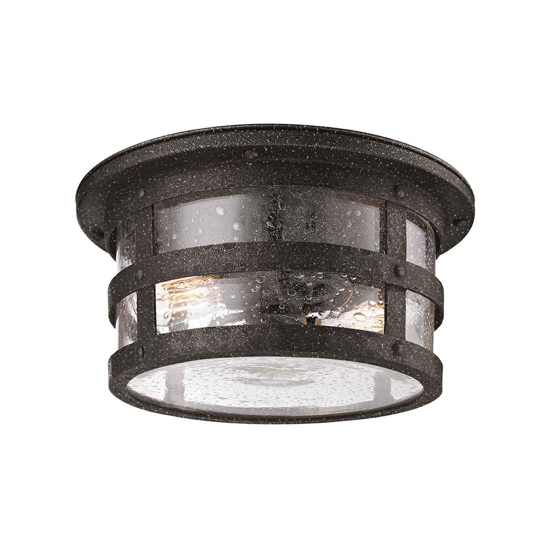 Barbosa Flush Mount Troy Lighting