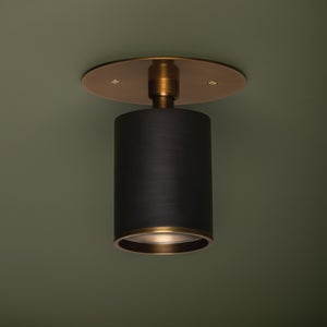 Caleb Flush Mount Troy Lighting